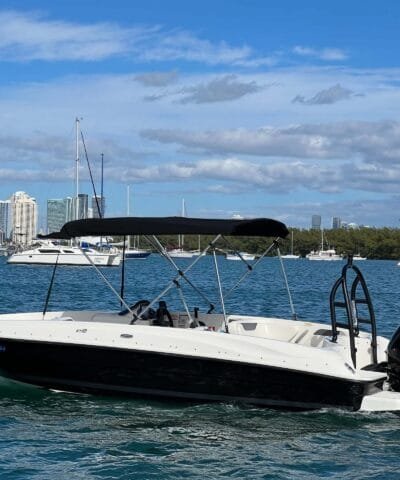 Bayliner E18 Black cruising past the Miami skyline